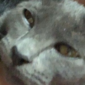 Meet your Posher, Damian